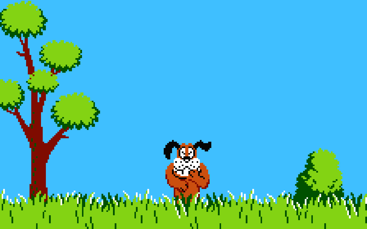 Duck Hunt Unblocked 1